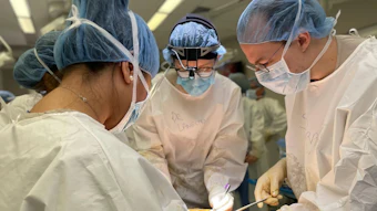 52770438226 5e240f030b O Looking For A Job